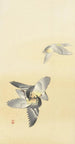 Due uccelli combattenti - Ohara Koson — vista dell’opera