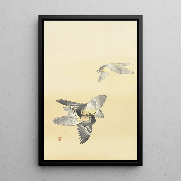 Due uccelli combattenti - Ohara Koson — quadro incorniciato alla parete