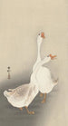 Due oche - Ohara Koson — vista dell’opera