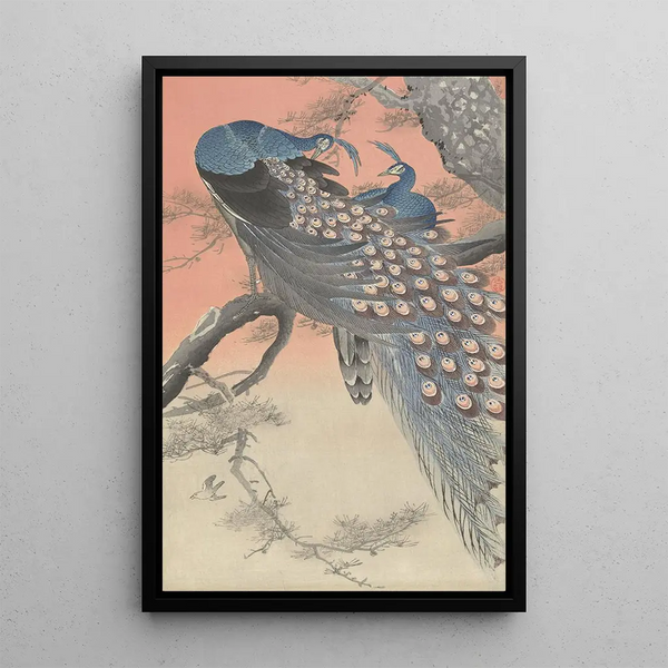 Due pavoni su un ramo d'albero - Ohara Koson — quadro incorniciato alla parete