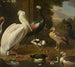 Uccelli acquatici Melchior de Hondecoeter - Melchior d'Hondecoeter — vista dell’opera