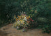 Bouquet di fiori di campo - Olga Wisinger-Florian — vista dell’opera