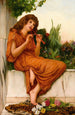 Le Jeune Musicien - Oliver Rhys — vista dell’opera