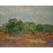 Riproduzione del dipinto Ulivi - Vincent van Gogh