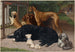 Chiens non ammessi - Otto Bache — vista dell’opera