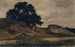Paesaggio collinare con grande albero - Otto Fröhlicher — vista dell’opera