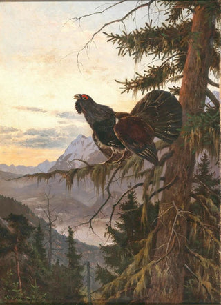 Otto Recknagel - A Wood Grouse Displaying at Sunset.webp