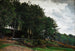 Collines boschive - P. C. Skovgaard — vista dell’opera