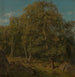 Parte della foresta Skogsfjord Mandal - Amaldus Nielsen — vista dell’opera