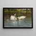 Cygnes et cygneaux - Patrick Downie — quadro incorniciato alla parete