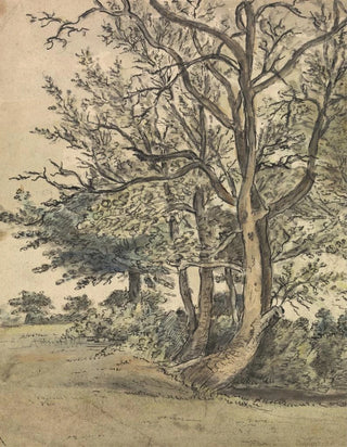 Patrick Nasmyth - Part of Regents Park.webp