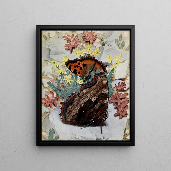 PaulAndre Robert - La GrandeTortue.webp