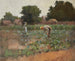 Champ de choux - Paul Cornoyer — vista dell’opera