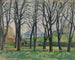 Castagni al Jas de Bouffan - Paul Cézanne — vista dell’opera