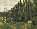 I pioppi - Paul Cézanne — vista dell’opera