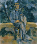 Ritratto di contadino - Paul Cézanne — vista dell’opera