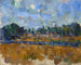 Rivage - Paul Cézanne — vista dell’opera