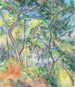 Sotto bosco - Paul Cézanne — vista dell’opera