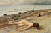 La Question - Paul Fischer — vista dell’opera