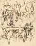 Studi animali - Paul Gauguin — vista dell’opera