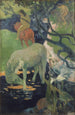 Le Cheval blanc - Paul Gauguin — vista dell’opera