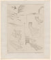 Vent de feu - Paul Klee — vista dell’opera