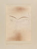 Piccolo fantasma animale - Paul Klee — vista dell’opera