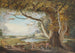 Paesaggio con lago e grande albero in primo piano - Paul Sandby — vista dell’opera