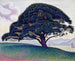 Il pino di Bonaventure - Paul Signac — vista dell’opera