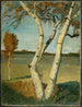 di betulla in un paesaggio - Paula Modersohn-Becker — vista dell’opera
