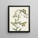 Quattro farfalle su fiori - Paulus Knogh — quadro incorniciato alla parete