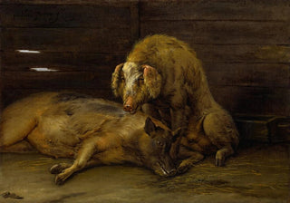 Paulus Potter - Two Pigs in a Sty.webp