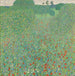 Papavero in fiore Prateria di papaveri - Gustav Klimt — vista dell’opera