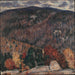 Paesaggio N° 25 - Marsden Hartley — vista dell’opera
