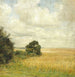 Paesaggio con vista su un campo - Carl Holse — vista dell’opera