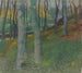 Paesaggio boscoso - Lucien Ott — vista dell’opera