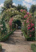 Dans le jardin - Peder Mønsted — vista dell’opera