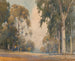 Eucalyptus - Percy Gray — vista dell’opera