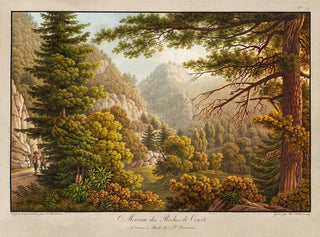 Peter Birmann - Morceau des Roches de Court.webp