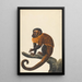 Un capuchin - Peter Paillou le Jeune — quadro incorniciato alla parete