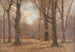 Fine dell'autunno nella foresta di faggi - Peter Paul Müller — vista dell’opera