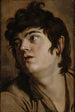Tête d'un jeune homme - Peter Paul Rubens — vista dell’opera