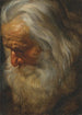 Studio di un vecchio uomo barbuto - Peter Paul Rubens — vista dell’opera