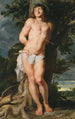 Saint Sébastien - Peter Paul Rubens — vista dell’opera