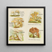 Petit atlas dei funghi Pl5 - Delachaux Niestlé — quadro incorniciato alla parete