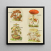 Petit atlas dei funghi Pl9 - Delachaux Niestlé — quadro incorniciato alla parete