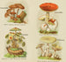 Petit atlas dei funghi Pl9 - Delachaux Niestlé — vista dell’opera