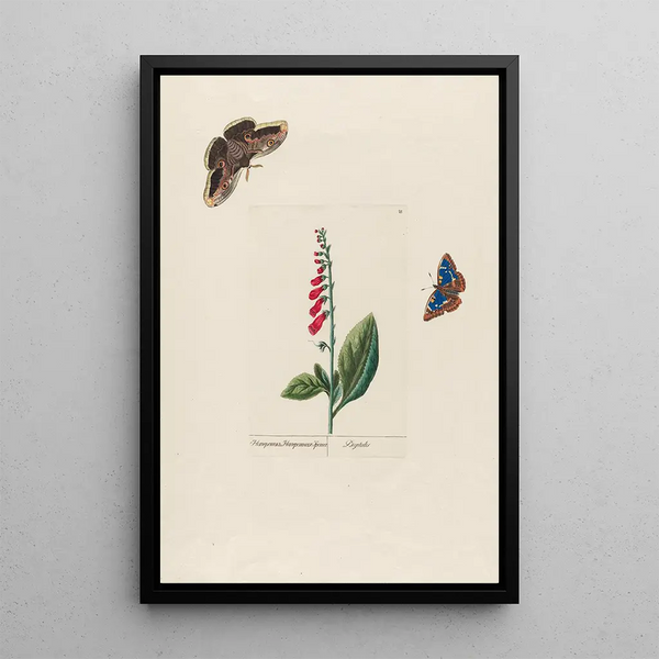 Digitale - Petr Martynovich Gofman — quadro incorniciato alla parete