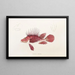 Fauna japonica Pl030 - Philipp Franz Balthasar von Siebold — quadro incorniciato alla parete