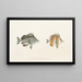 Fauna japonica Pl054 - Philipp Franz Balthasar von Siebold — quadro incorniciato alla parete